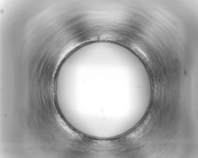 X0000088910800200706221928