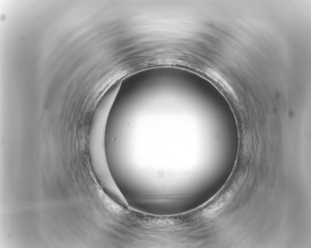 X0000088910801200706221928