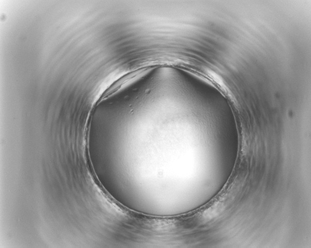 X0000088910802200706221928