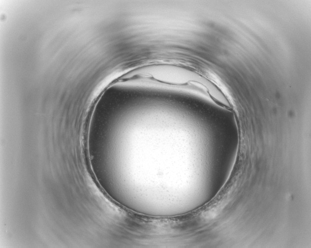 X0000088910803200706221928