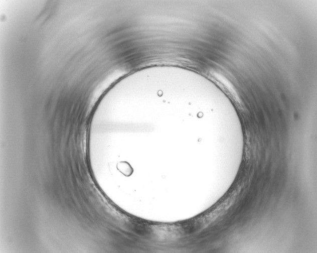 X0000088910804200706221928