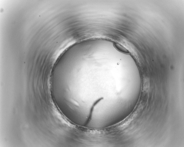 X0000088910806200706221928