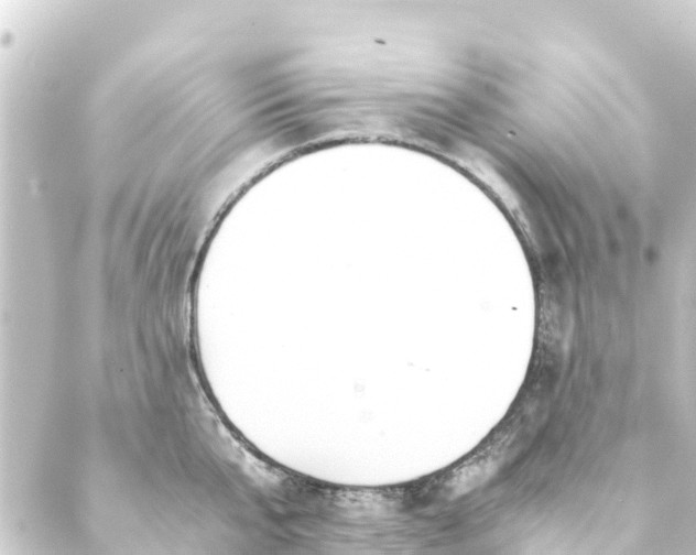 X0000088910807200706221928