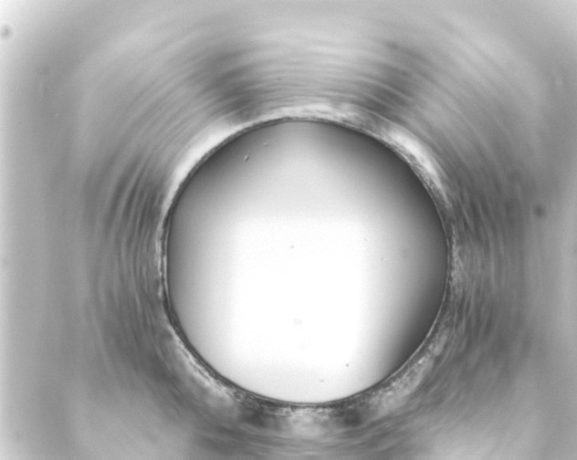 X0000088910808200706221928