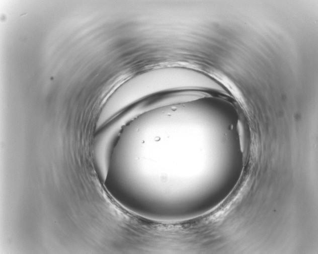 X0000088910809200706221928