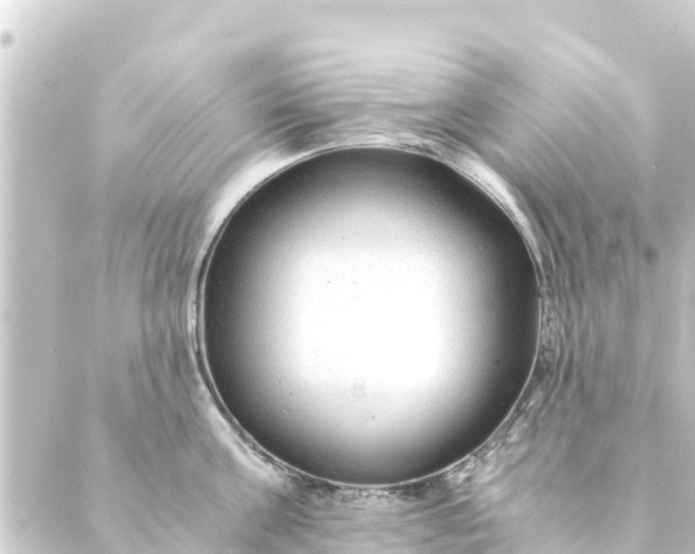 X0000088910811200706221928