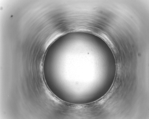 X0000088910814200706221928