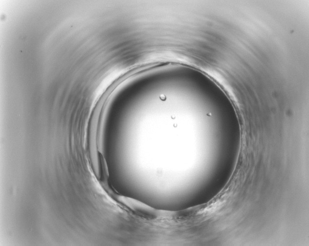 X0000088910815200706221928