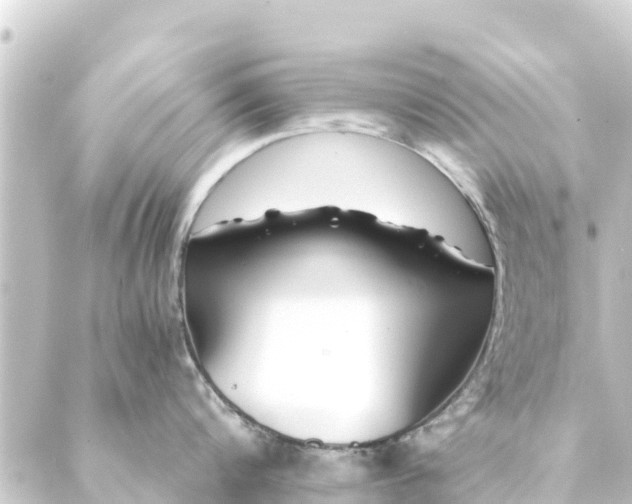 X0000088910816200706221928