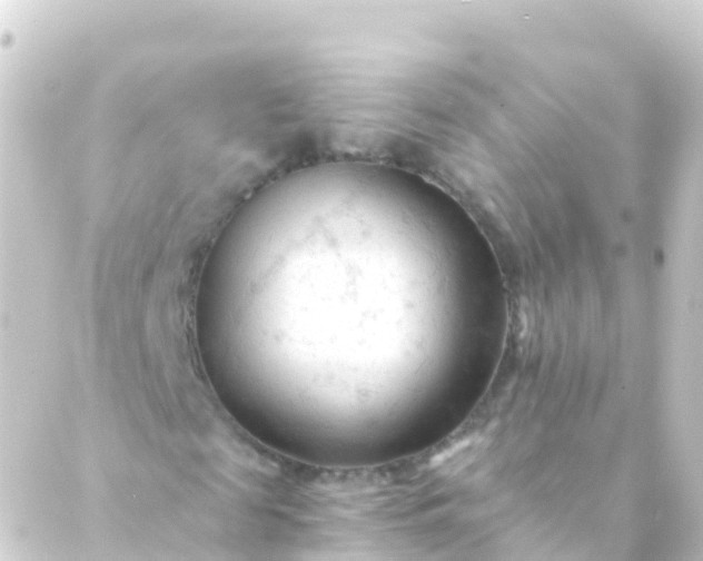 X0000088910817200706221927