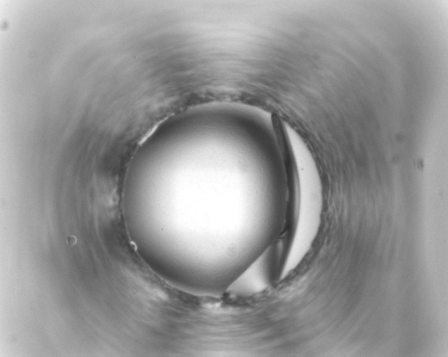 X0000088910818200706221927