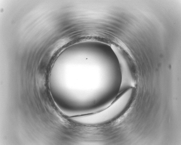 X0000088910826200706221927