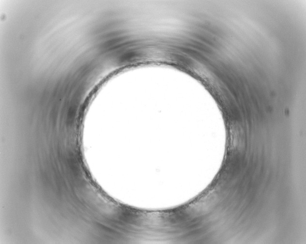 X0000088910828200706221927