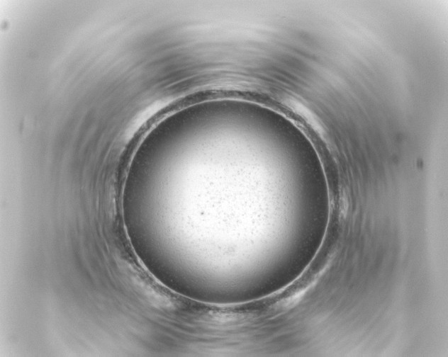 X0000088910829200706221927