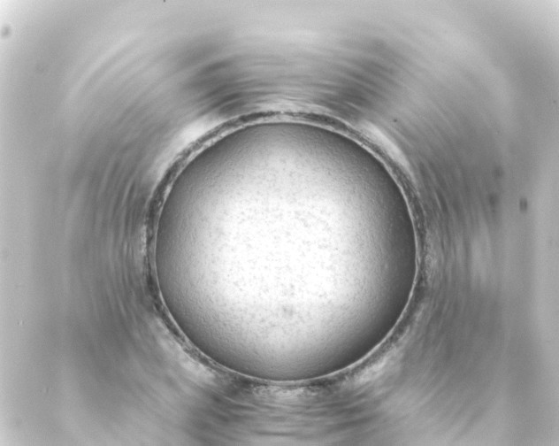 X0000088910831200706221927