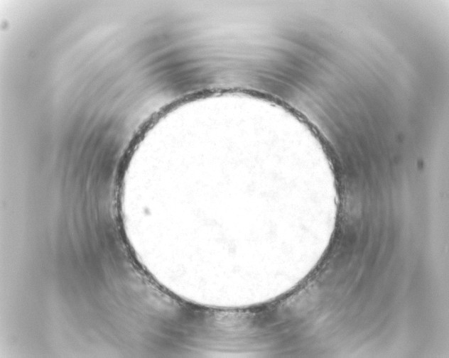 X0000088910832200706221927