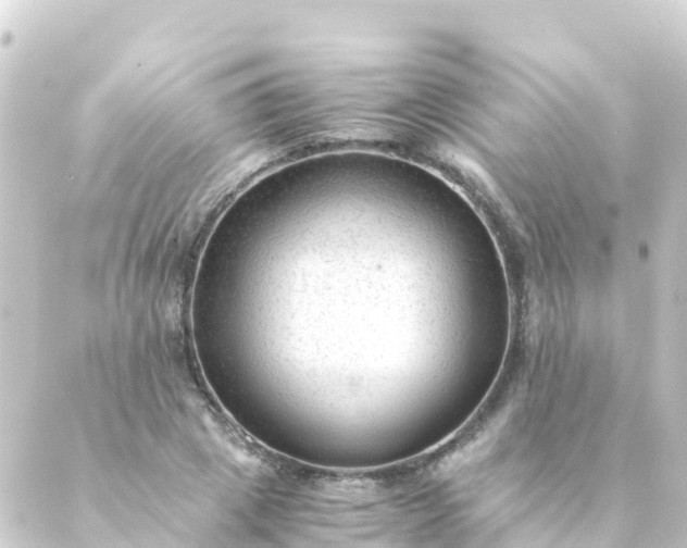 X0000088910833200706221927