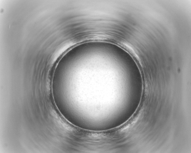 X0000088910835200706221927