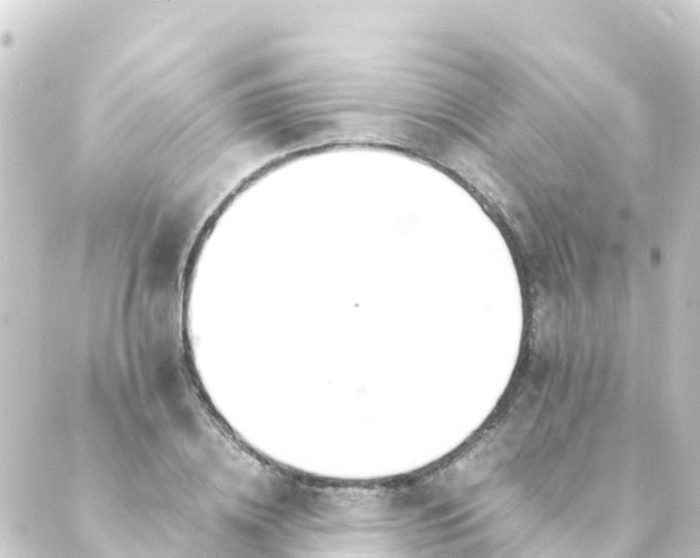 X0000088910836200706221927