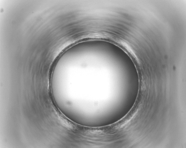 X0000088910837200706221927