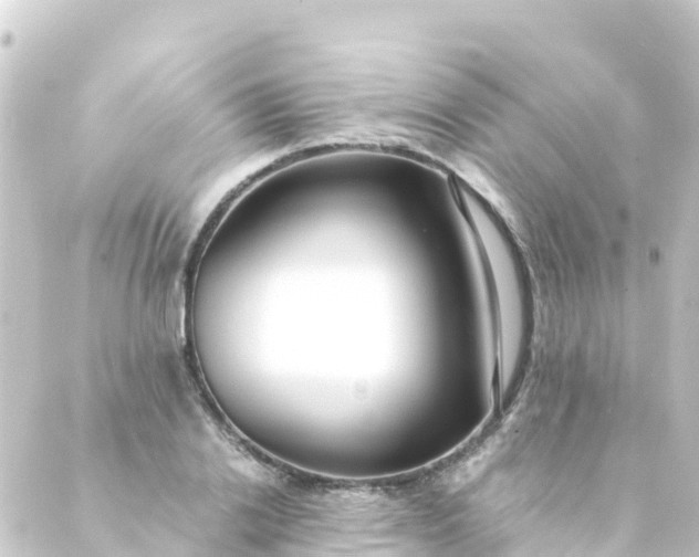 X0000088910838200706221927