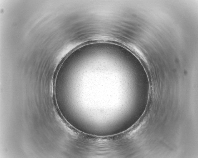 X0000088910839200706221927