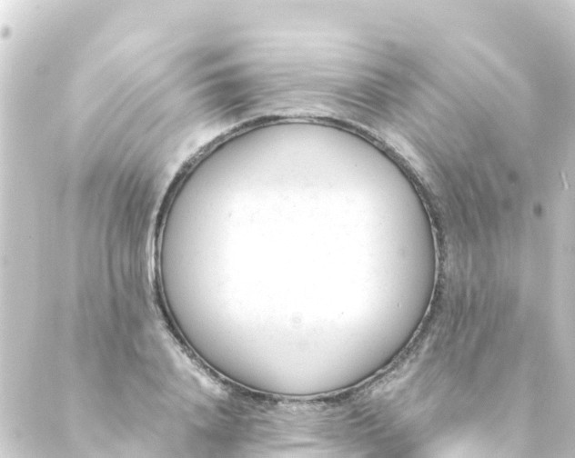 X0000088910840200706221927