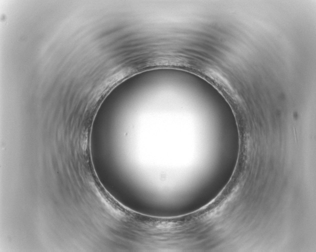 X0000088910841200706221927