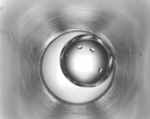 X0000088910842200706221927