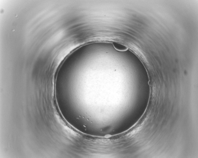 X0000088910844200706221927