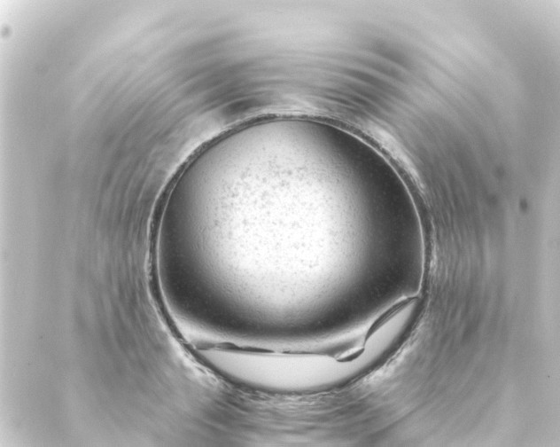 X0000088910845200706221927