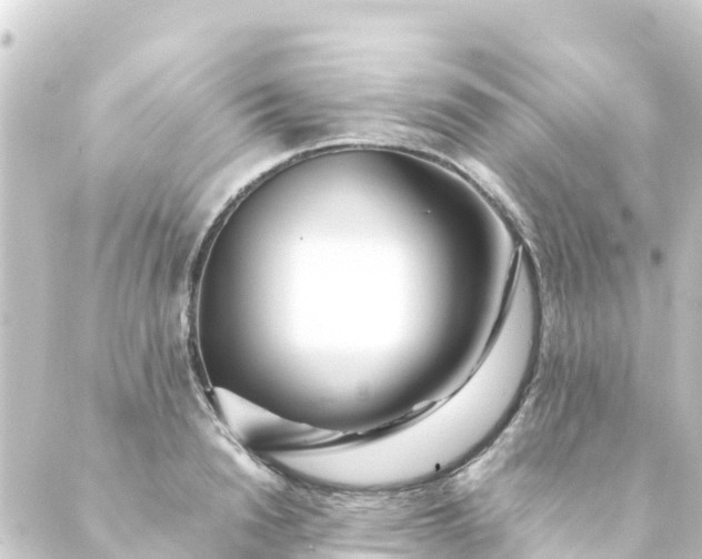 X0000088910846200706221927