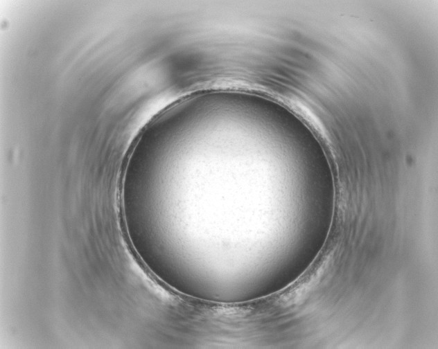 X0000088910847200706221927