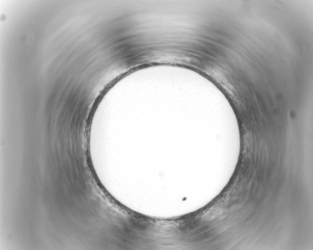 X0000088910848200706221927