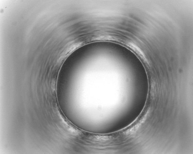 X0000088910849200706221927