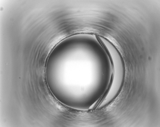 X0000088910850200706221927