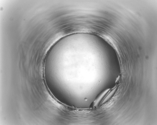 X0000088910851200706221927