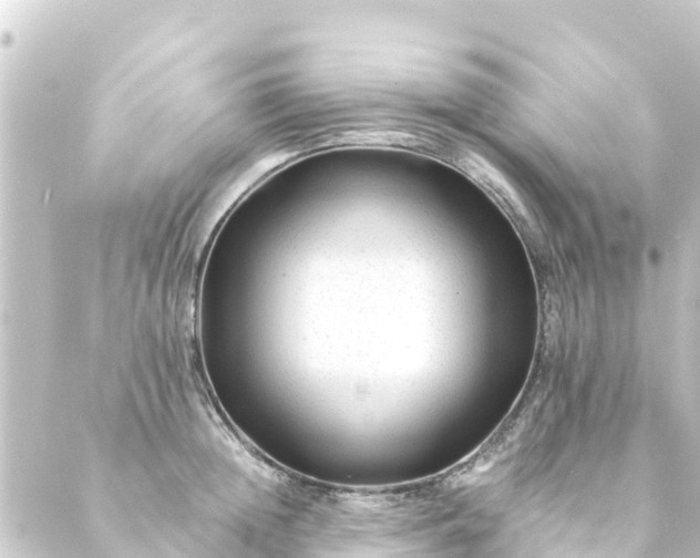 X0000088910852200706221928