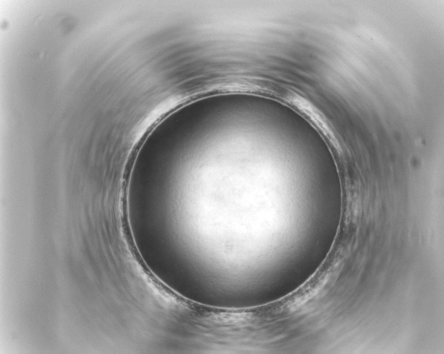 X0000088910853200706221928