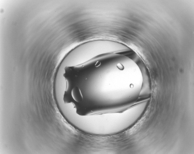 X0000088910854200706221928