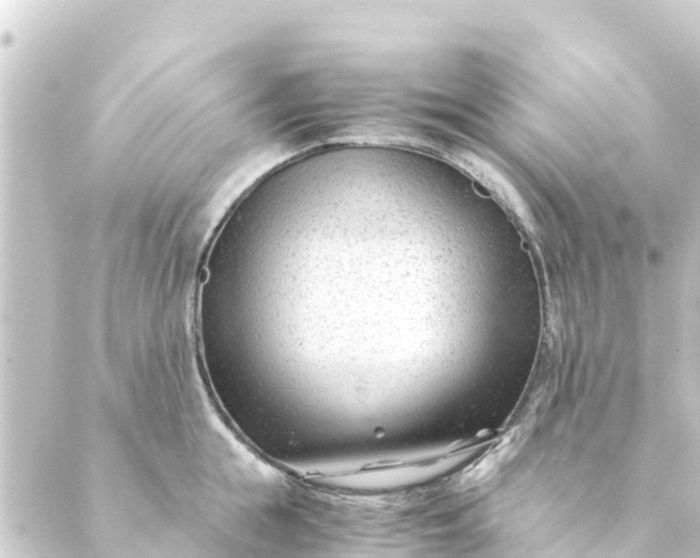 X0000088910855200706221928