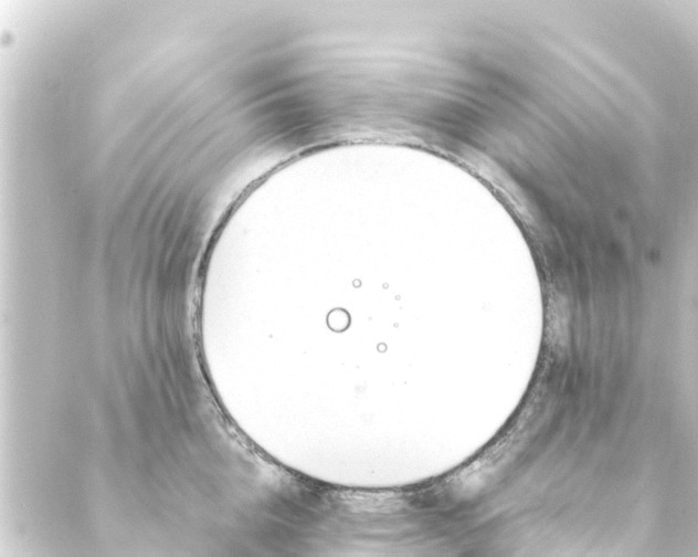 X0000088910856200706221928