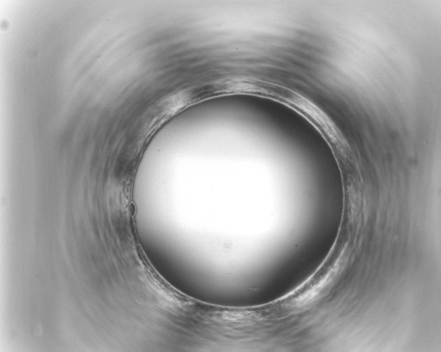 X0000088910857200706221928