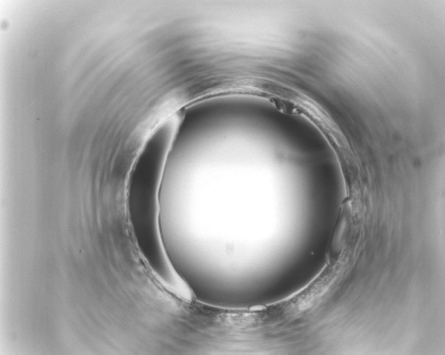 X0000088910858200706221928