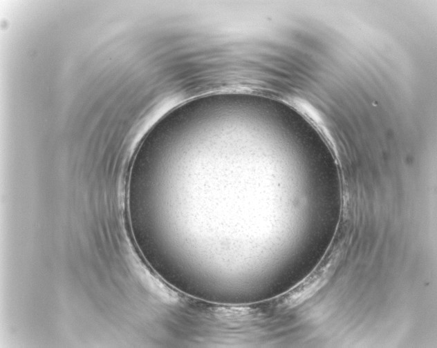 X0000088910859200706221928