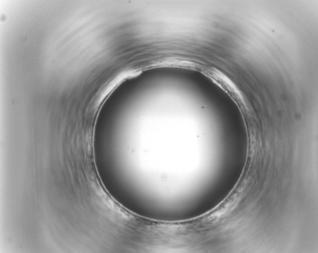 X0000088910860200706221928