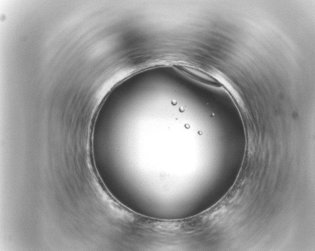 X0000088910861200706221928