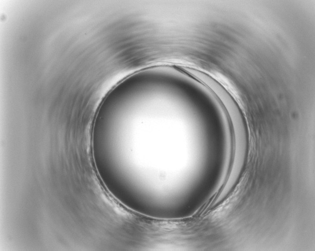 X0000088910862200706221928