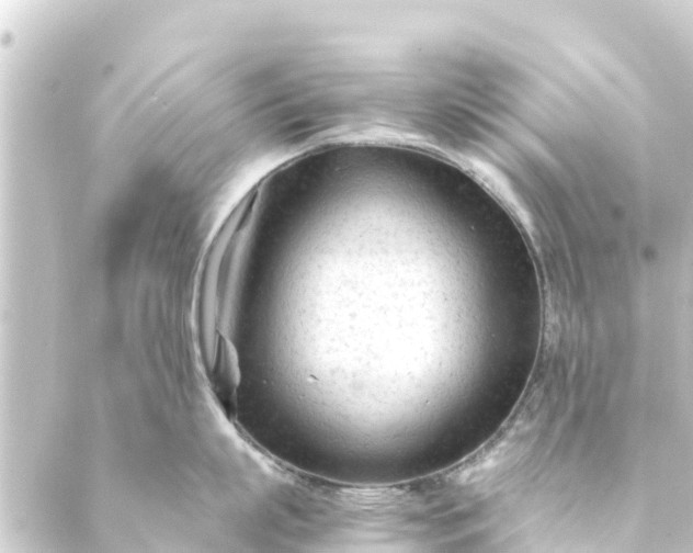 X0000088910863200706221928