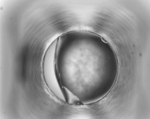 X0000088910864200706221928